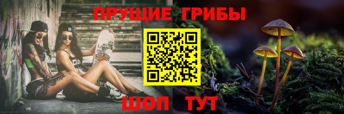 Ишимбай  Галлюциногенные грибы Psilocybine cubensis  Вход с VPN  Псилоцибиновые грибы GOLDEN TEACHER 